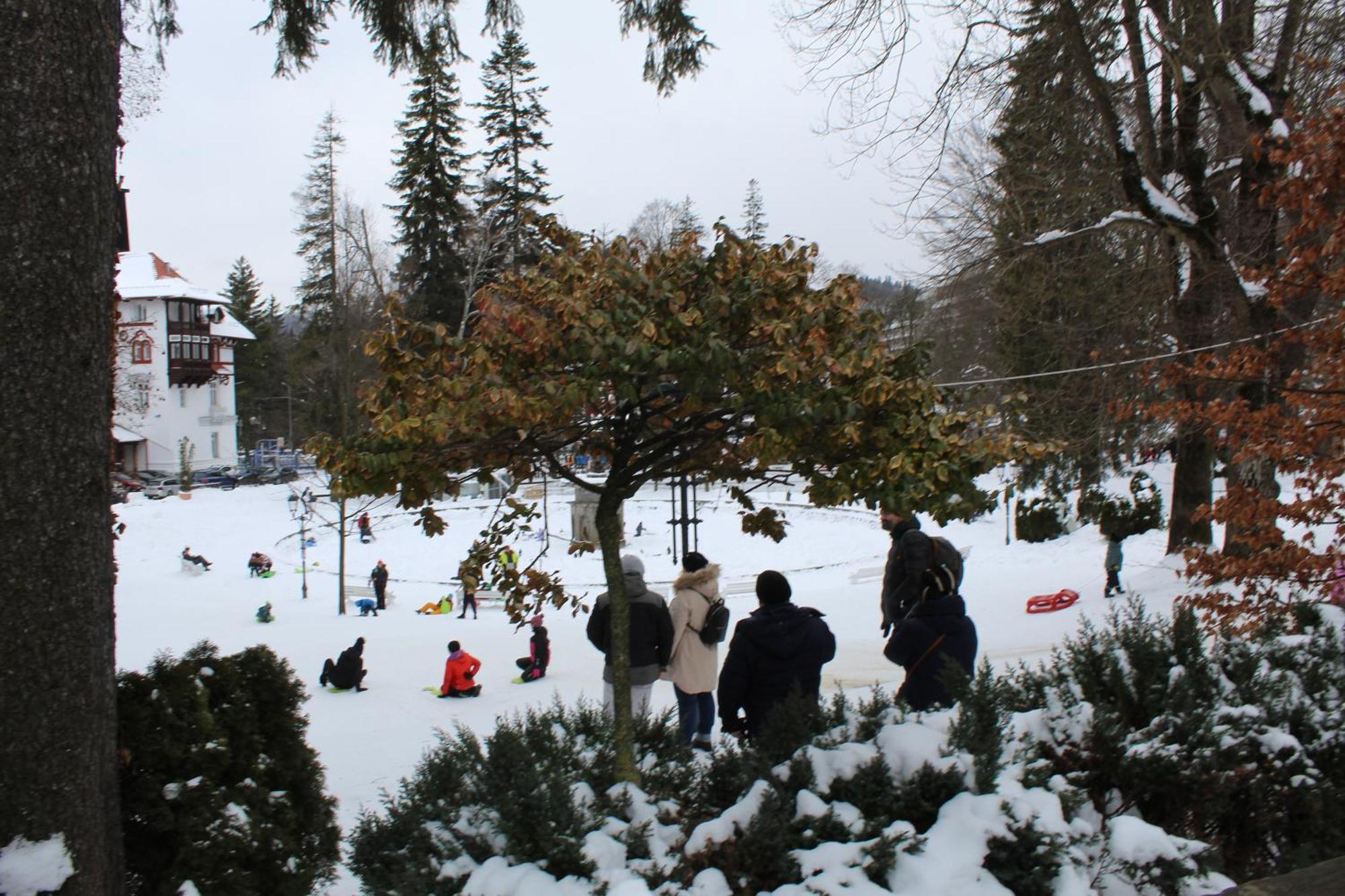 Central Park View Σινάια Εξωτερικό φωτογραφία