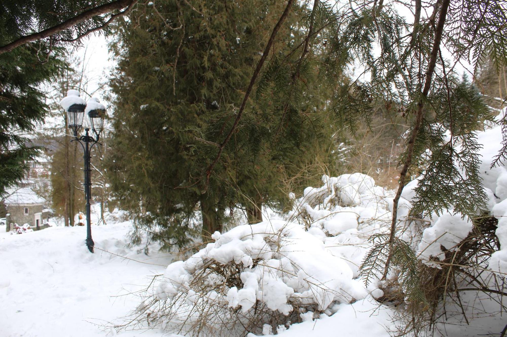 Central Park View Σινάια Εξωτερικό φωτογραφία