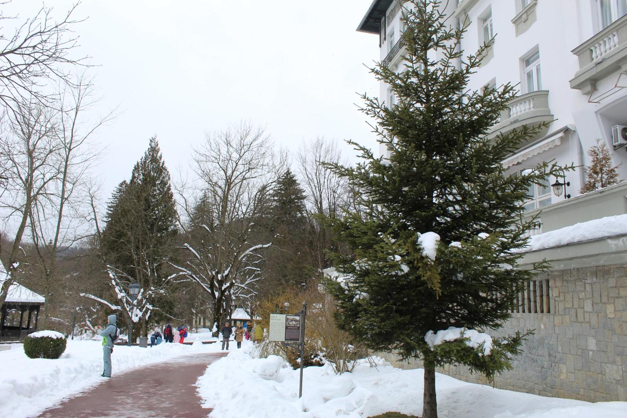 Central Park View Σινάια Εξωτερικό φωτογραφία
