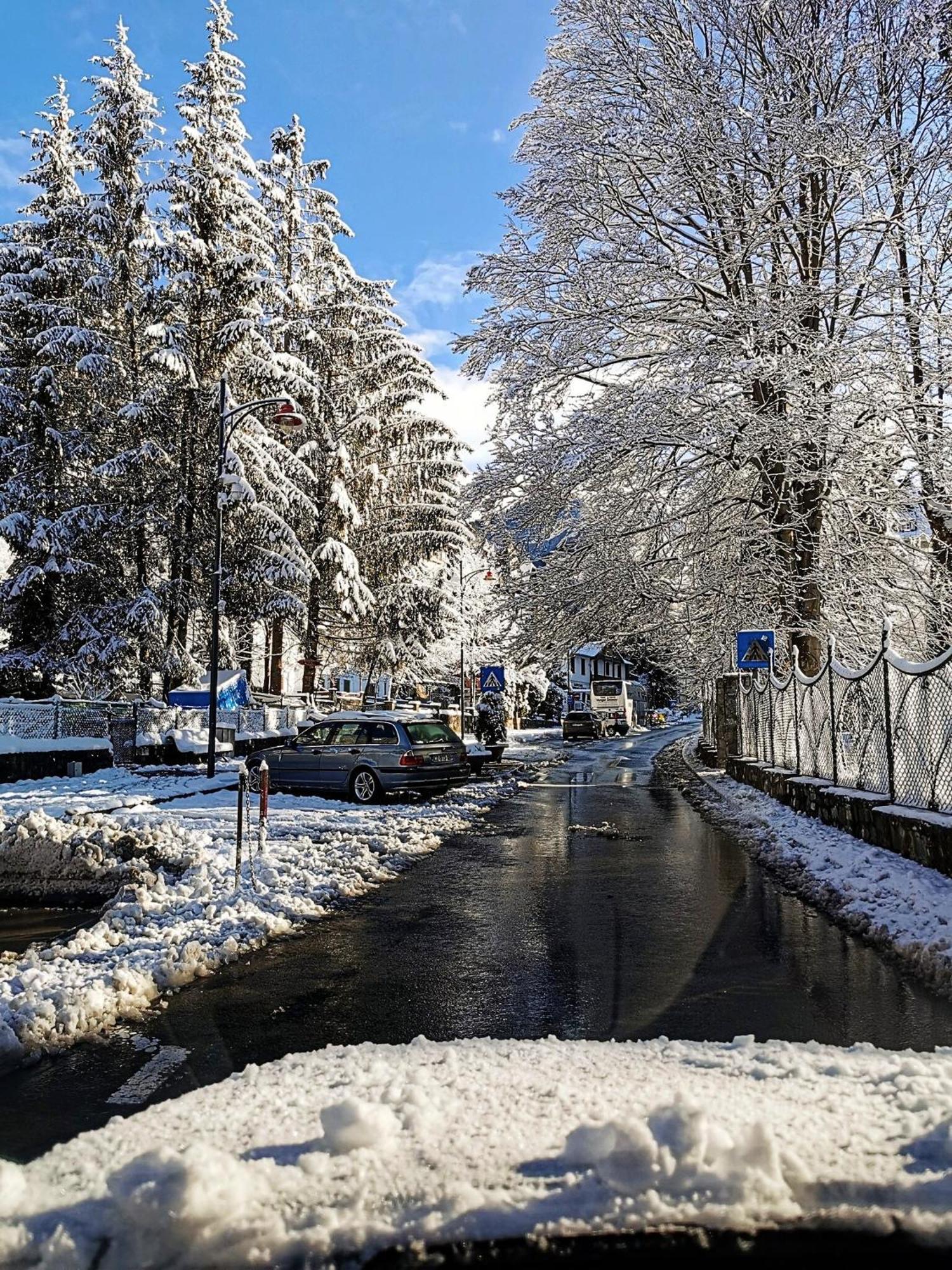 Central Park View Σινάια Εξωτερικό φωτογραφία